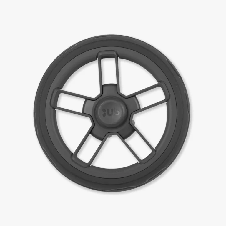 Rear Wheel for Cruz V2 in Carbon